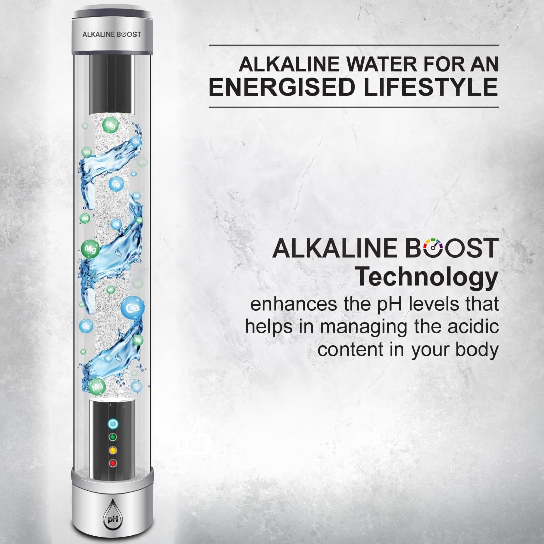 Aquaguard Astor WS RO+UV Alkaline Water Purifier