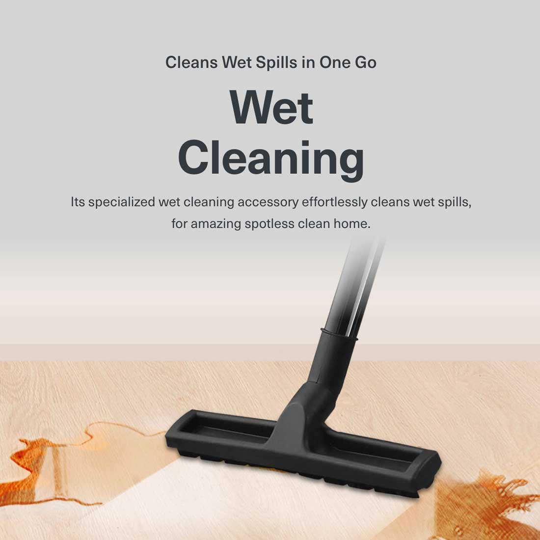 Eureka Forbes Wet & Dry NXT Vacuum Cleaner